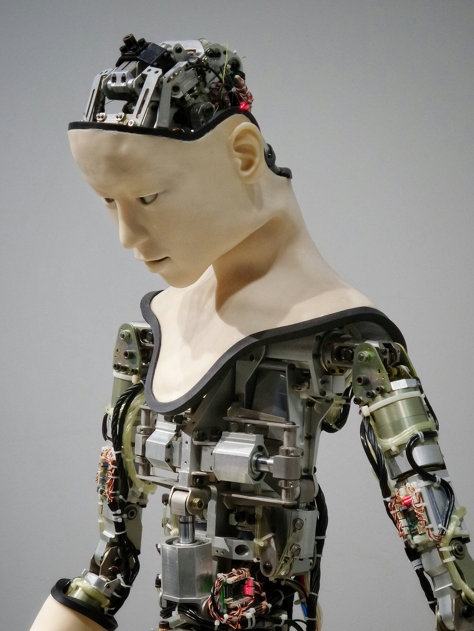 The Future of Artificial Intelligence in Web Development